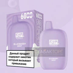 Электронная сигарета FLUM Pebble Черника Мята
